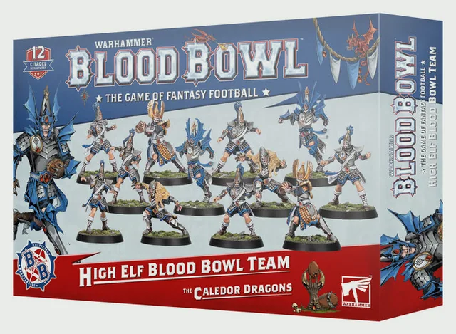 Blood Bowl: High Elf Blood Bowl Team